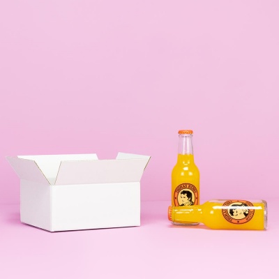 Faltkarton f&uuml;r Flaschen