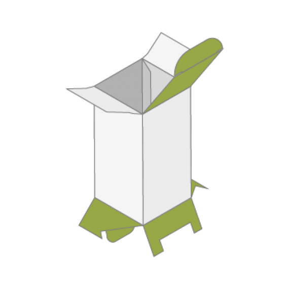 Faltschachtel mit Steckboden und gegen&uuml;berliegende Laschen