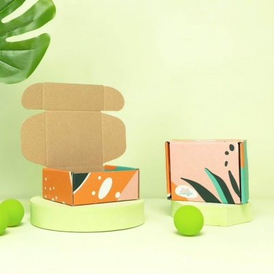 Klappdeckelkarton aus Wellpappe