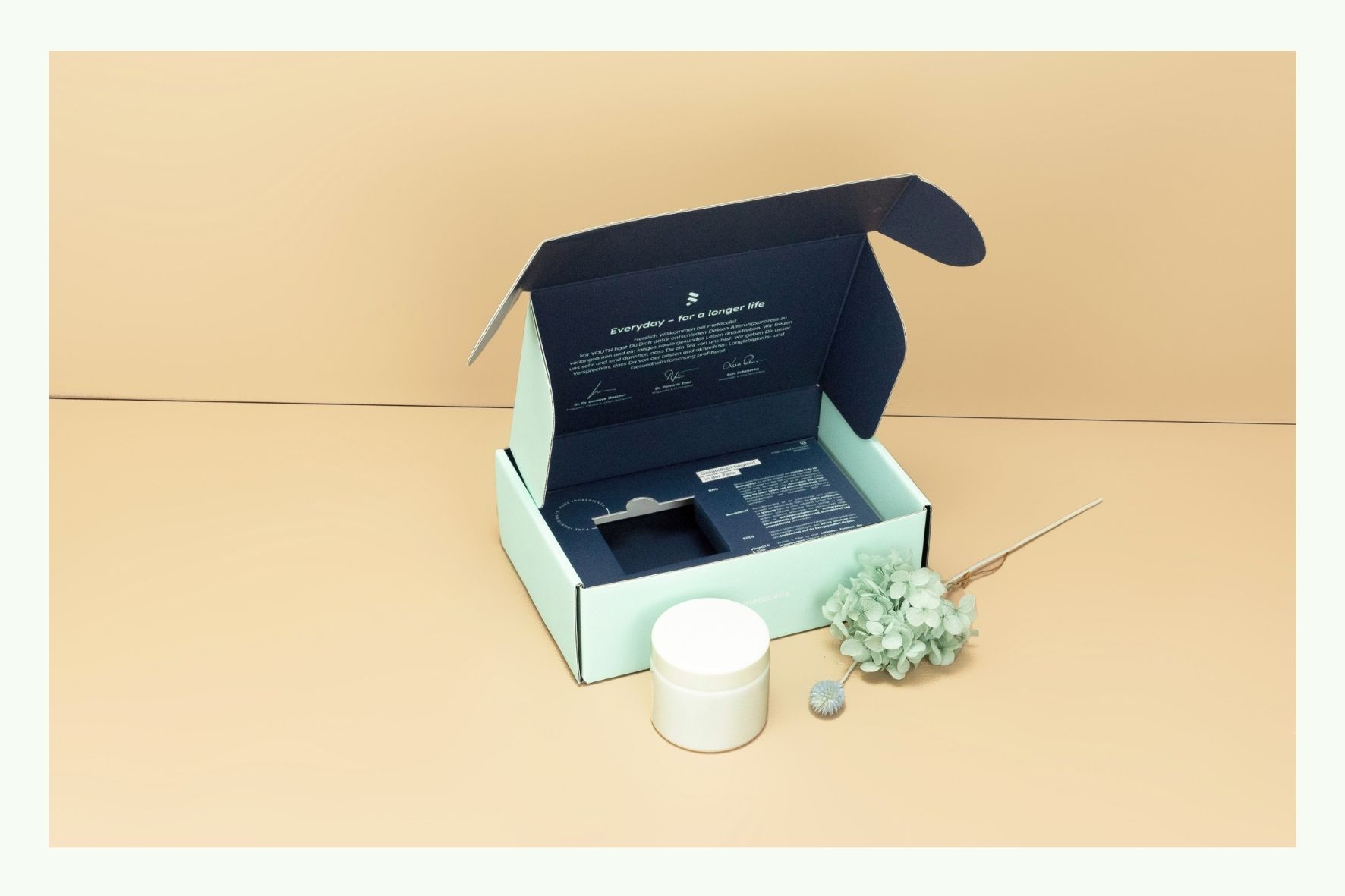 Inlay für eine Faltschachtel Inlay für eine Faltschachtel