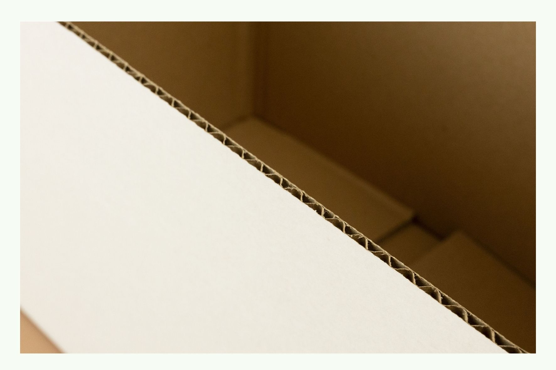 Primo piano del bordo di un cartone ondulato nella confezione Primo piano del bordo di un cartone ondulato nella confezione