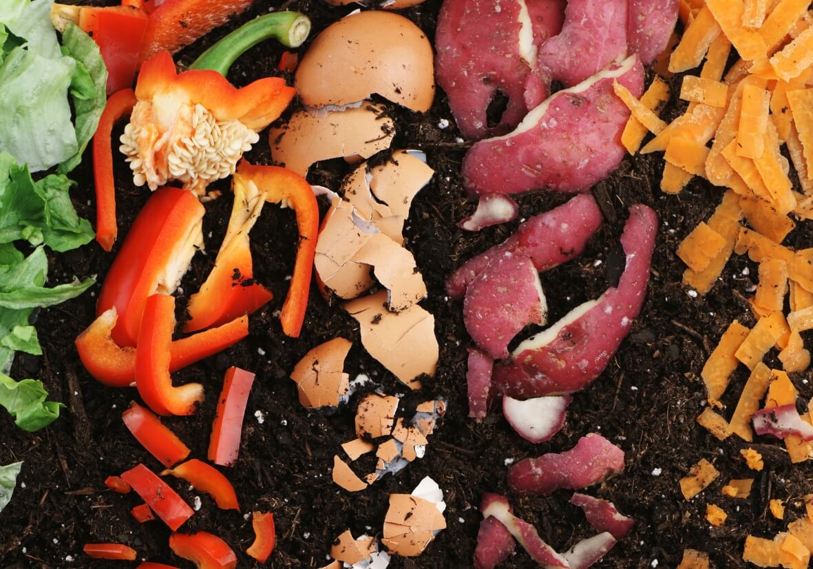 Gemüse in Heimkompost Gemüse in Heimkompost