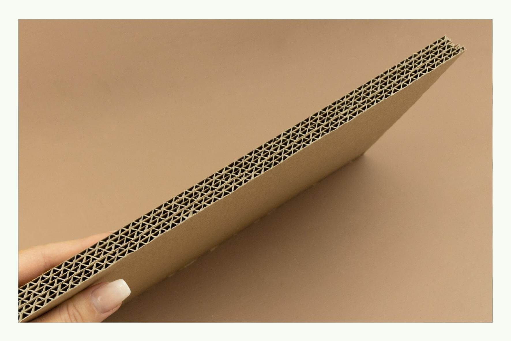 Hand holding a corrugated cardboard sheet in cross-section