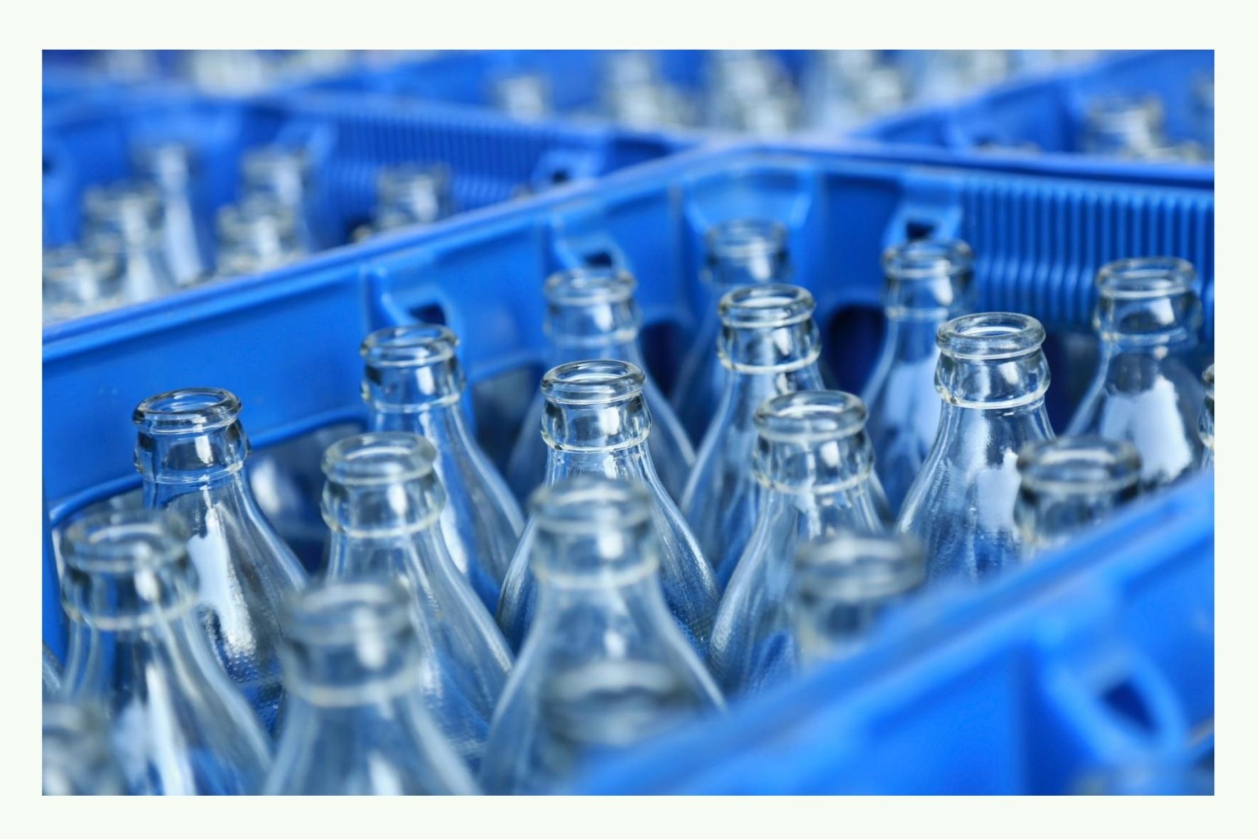 Empty glass bottles in a crate Empty glass bottles in a crate