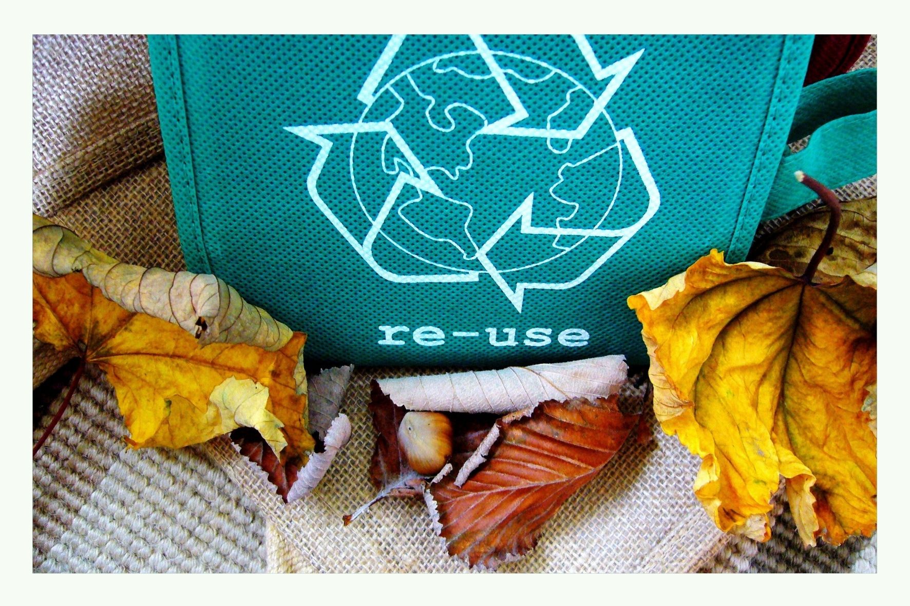 Grüne Tasche mit Recycling-Symbol und Herbstblättern daneben