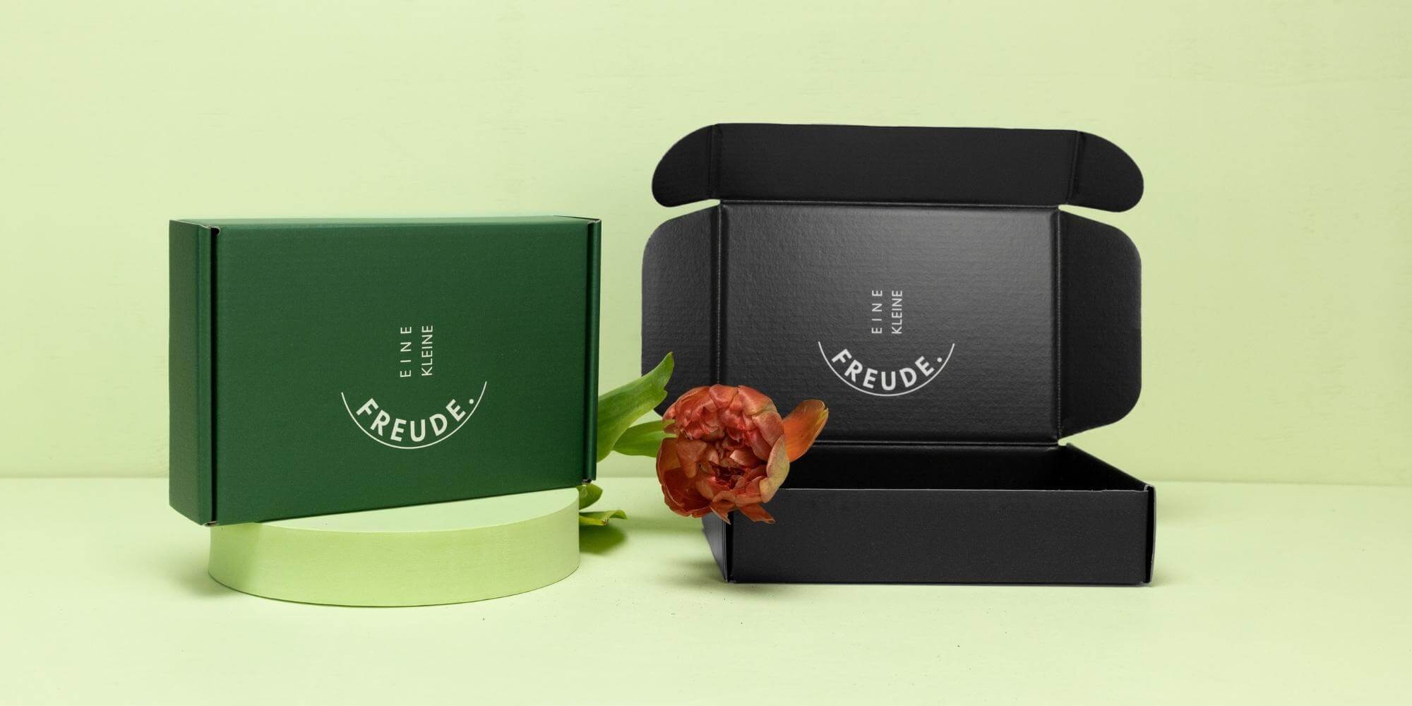 Grossbriefkartons bedruckt Grossbriefkartons bedruckt