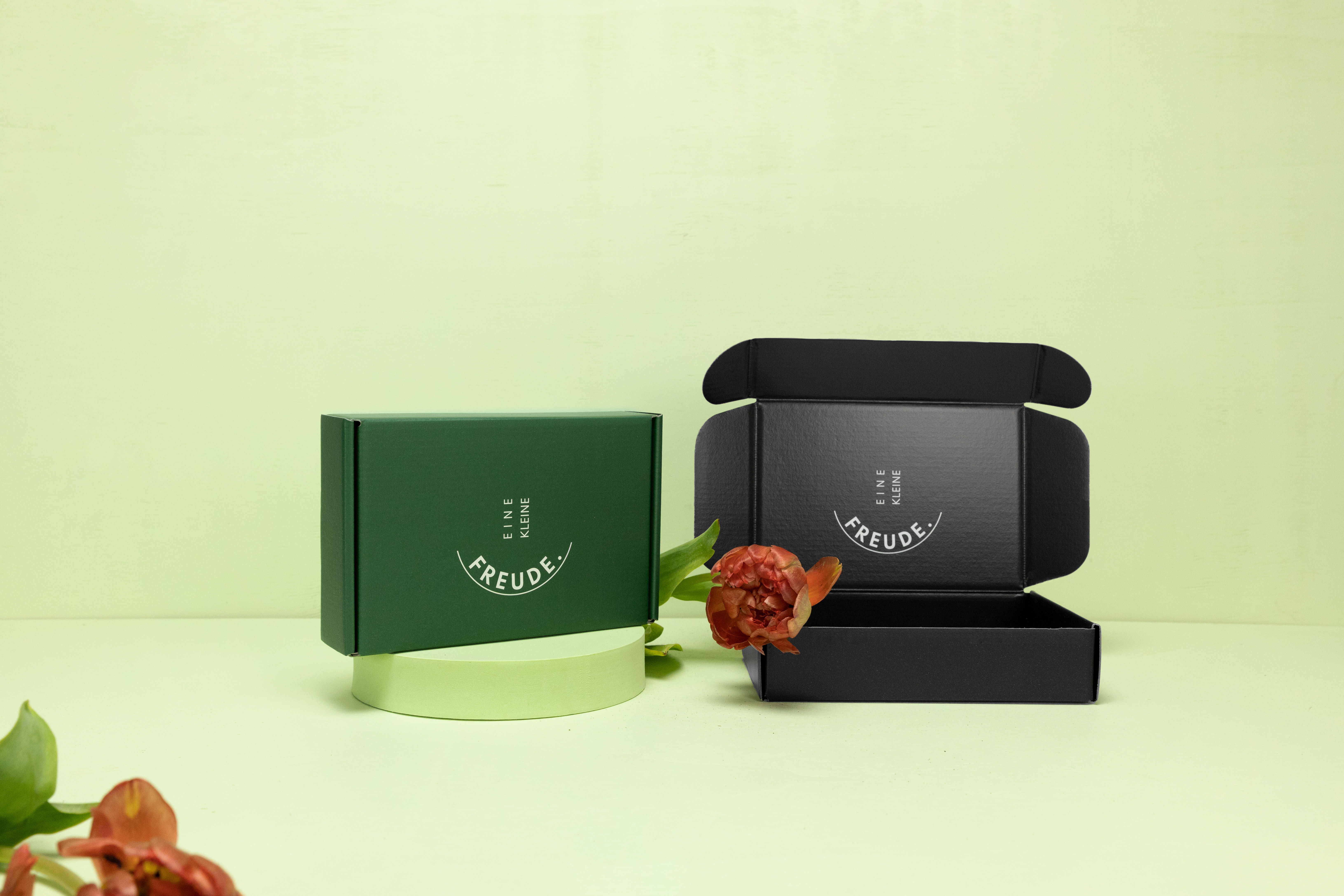 Geöffnete Produktkartons in Grün und Schwarz auf hellem Hintergrund Geöffnete Produktkartons in Grün und Schwarz auf hellem Hintergrund