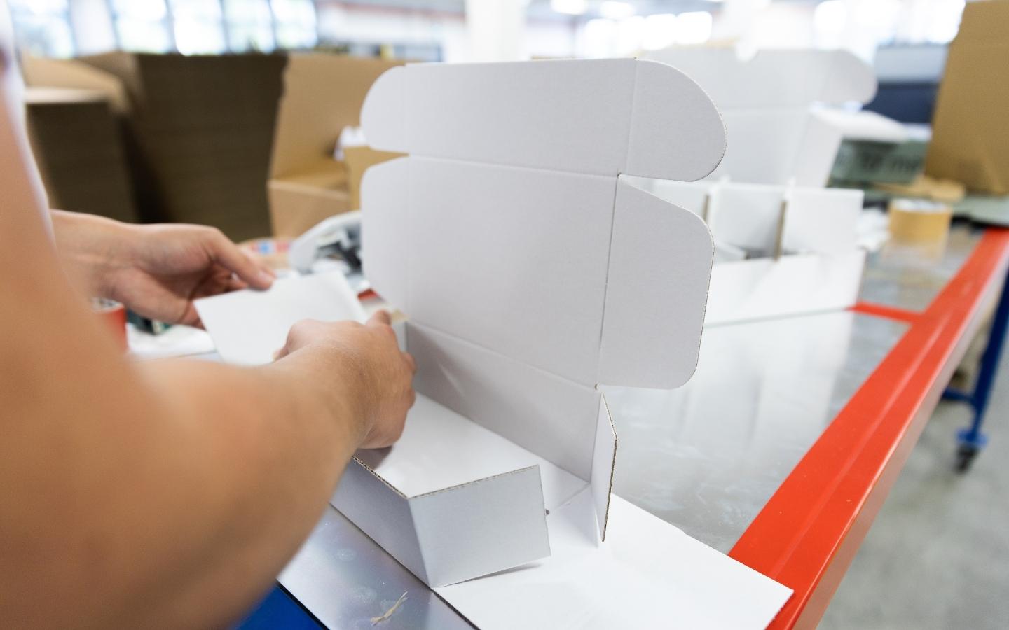 Struttura di un cartone Struttura di un cartone